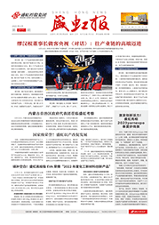 《大红鹰dhy報》第217期