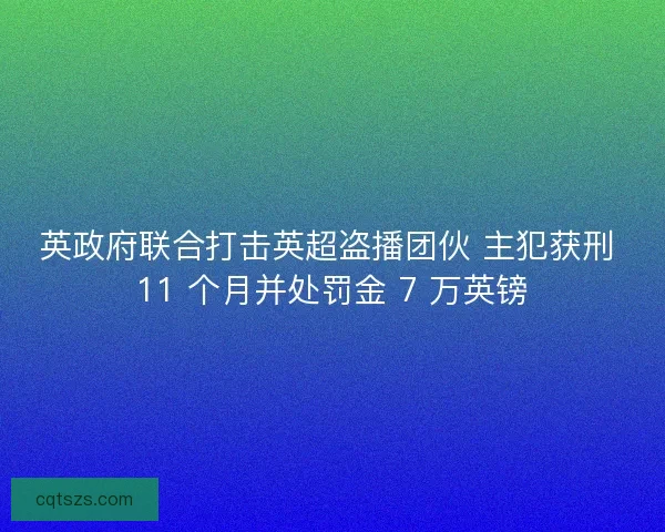 英政府联合打击英超盗播团伙 主犯获刑 11 个月并处罚金 7 万英镑